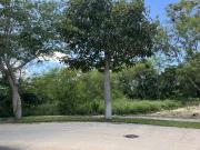 Terreno residencial en Cabo Norte Privada Licata