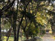 Terreno residencial en fraccionamiento privado con amenidade