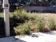 TERRENO RESIDENCIAL EN ROCA AZUL, JOCOTEPEC