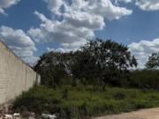 Terreno residencial en venta, a pie de calle, en Chichí...