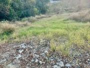 Terreno Residencial en Venta, Balcones del Valle, San...