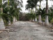 Terreno Residencial en Venta Carretera Merida Progreso