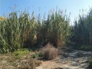 Terreno residencial en Venta en Alberca