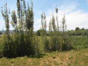 Terreno residencial en Venta en Aljucer