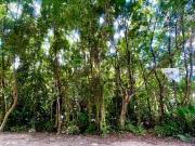 TERRENO RESIDENCIAL EN VENTA EN CANCUN QUINTANA ROO