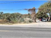 Terreno Comercial en venta en Chapala Centro