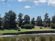 Terreno residencial en Venta en El Rocío La Milagrosa