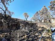 Terreno Residencial en venta en Fraccionamiento Santa...