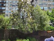 Terreno residencial en venta en La Otra Banda