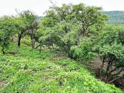 Terreno Residencial en venta en Las Ca?adas