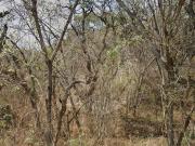 Terreno residencial en venta en Las Cañadas