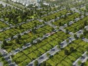 Terreno residencial en Venta en Malilla