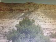 Terreno residencial en Venta en Montnegre