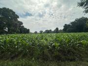 Terreno Residencial en venta en Pueblo Itzamatitl?n