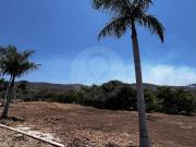 Terreno Residencial en venta en Pueblo Tuxcueca