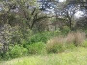 Terreno Residencial en venta en Rancho San Juan
