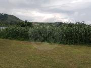 Terreno Residencial en venta en San Miguel de Allende Centro