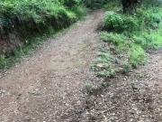 Terreno residencial en venta en Transfiguración