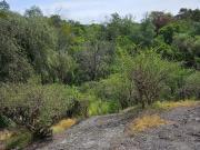 Terreno RESIDENCIAL MARFIL para desarrollo habitacional