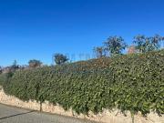 Terreno, Retorta e Tougues, Vila do Conde | BPI Expresso...