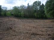 Terreno, Ribadesella