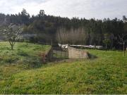 Terreno, Ribeira de Fráguas, Albergaria a Velha | BPI...