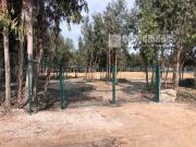 Terreno, Rio de Moinhos, Sintra | BPI Expresso Imobiliário