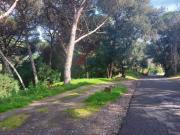 Terreno, Rio de Moinhos, Sintra | BPI Expresso Imobiliário