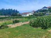 Terreno, Rio Mau e Arcos, Vila do Conde | BPI Expresso...