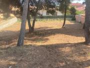 Terreno, Roda de Berà