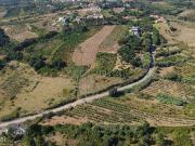 Terreno Rstico 12.480m | Delgada, Bombarral