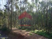 Terreno rstico com 24792m2