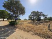Terreno rstico, com diversas rvores, Boliqueime, Algarve