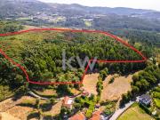 Terreno Rstico em Anjos com ~48800m2 Vieira do Minho