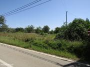 Terreno Rstico em Boliqueime