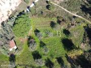 Terreno rstico em Monsanto