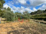 Terreno rstico Eucaliptal/Olival com 2.880m2 em Cho de...