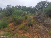 Terreno Rstico | Lousa, Castelo Branco