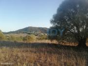 Terreno Rstico com 2 Hectares em So Miguel de Alcaina, Mafra