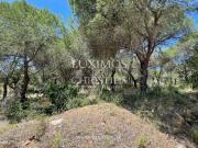 Terreno rstico para venda na Quinta do Lago, Algarve