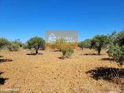 Terreno Rstico plano com acesso pedonal 4.910 M