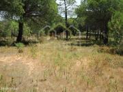 Terreno Rstico Plano em Vale Verde