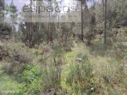 Terreno rstico prximo de Castelo Branco