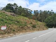Terreno Rstico Urbanizvel com 3.834 m em Silvares S....