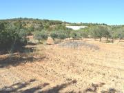 Terreno Rstico Venda em Boliqueime,Loul