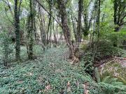 Terreno Rstico Venda em Bouro Santa Marta,Amares