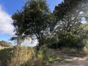 Terreno Rstico Venda em Brrio,Alcobaa