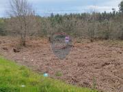 Terreno Rstico Venda em Mundo,Viseu