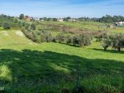 Terreno Rstico Venda em Parceiros e Azoia,Leiria