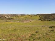 Terreno Rstico com 2 ha na Raposeira, Vila do Bispo